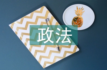 政法條例督察報告