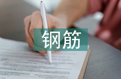 鋼筋調查報告