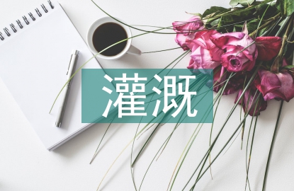 農田水利灌溉設計與節水