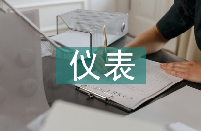 儀表試用期總結