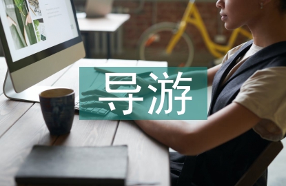 導游工作思路