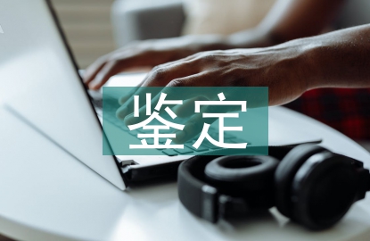 工程質(zhì)量鑒定報(bào)告