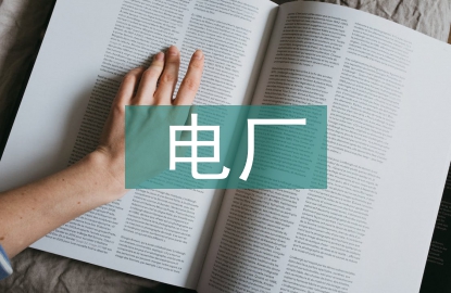電廠薪酬管理與績效管理