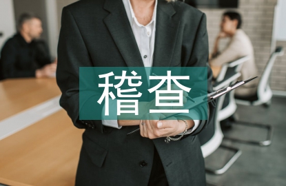 稽查工作總結