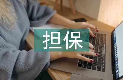擔保申報材料