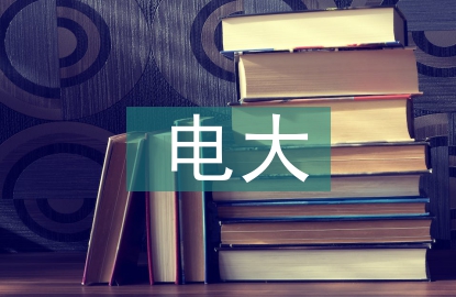 電大會計調查報告