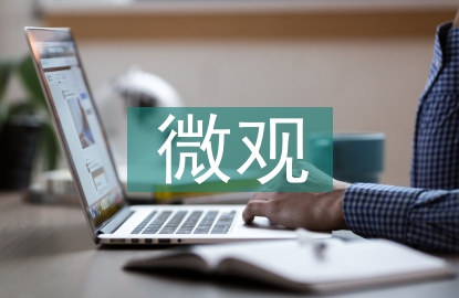 微觀經(jīng)濟論文