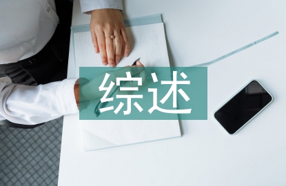 電子政務(wù)文獻(xiàn)綜述