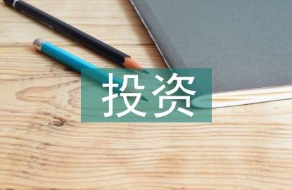 中國投資論文
