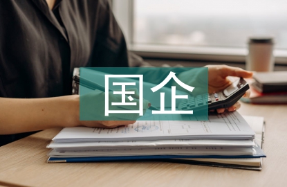 國企工作報告