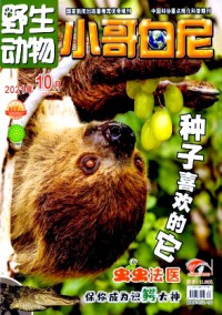 小星星·高年級版